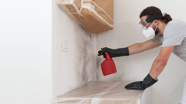 Attic Mold Remediation treatment on roof deck in Petoskey